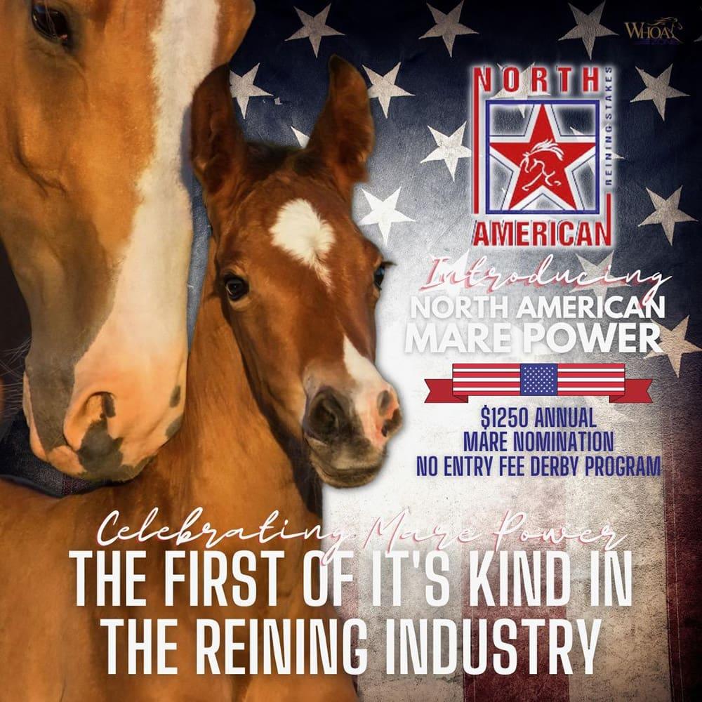 North American Reining Stakes