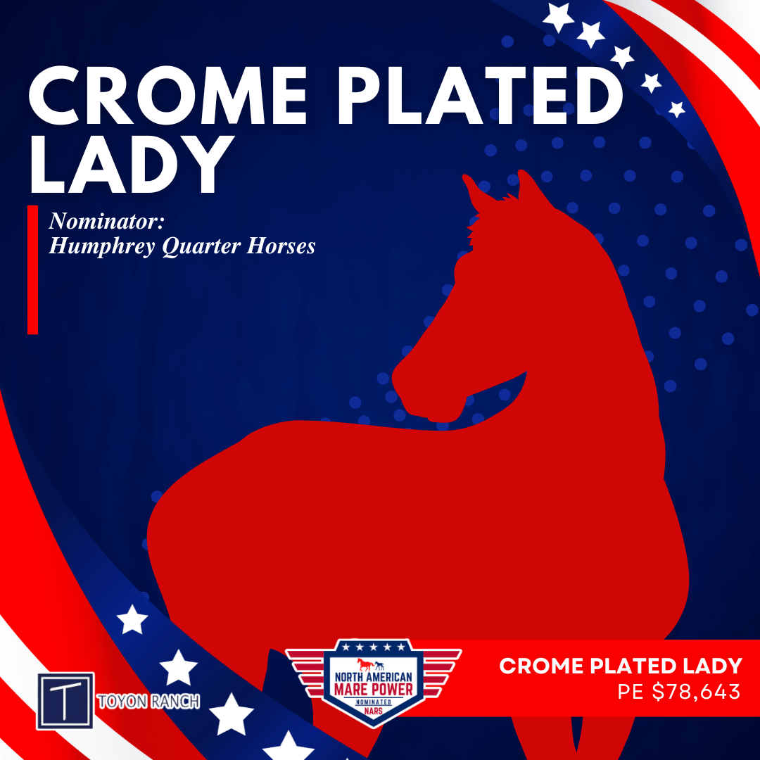 Crome Plated Lady