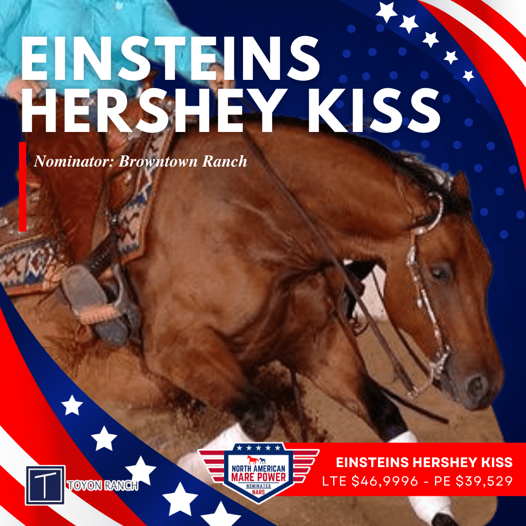 Einstens Hershey Kiss