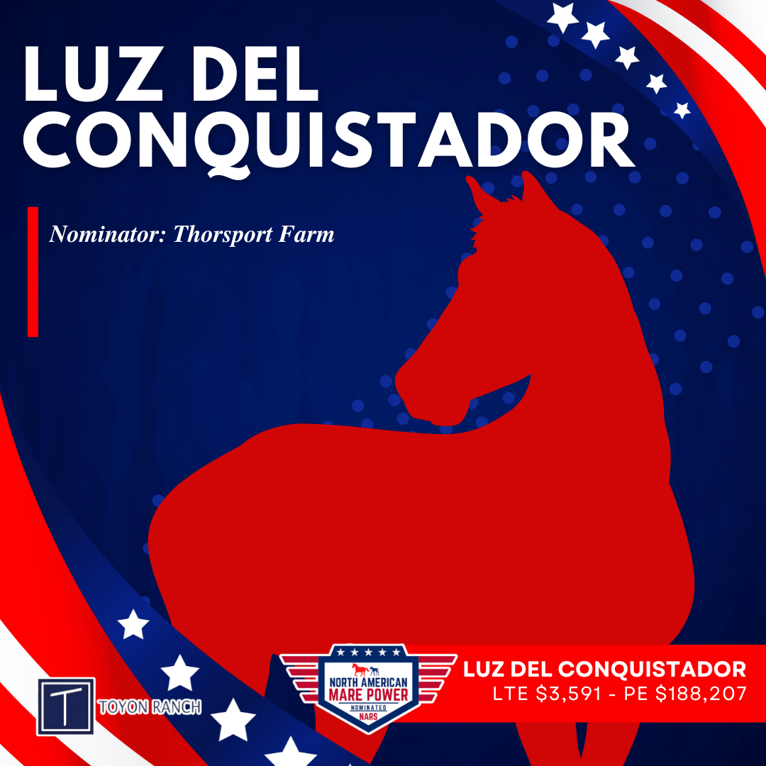 Luz Del Conquistador