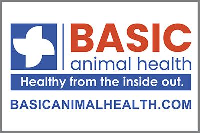 Mark Rafacz Reining Horses