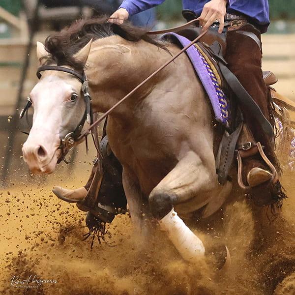 600x600-1 stop