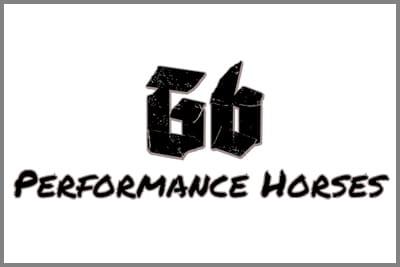 G6 Performance Horses